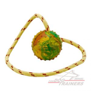 כדור דחוס עם חבל