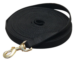 רצועת אילוף 10 מטר