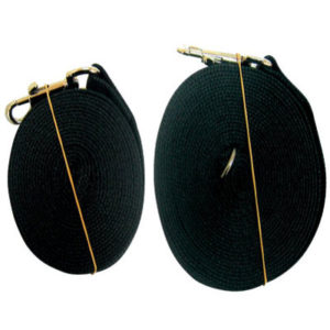 רצועת אילוף 6+4 מטר