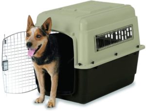 כלוב טיסה פטמייט לכלב קטן מידה S