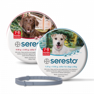 קולר סרסטו לכלבים Seresto fleas, ticks and lice