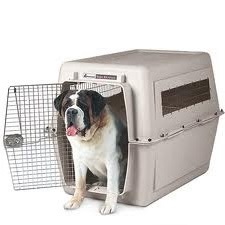 כלוב טיסה פטמייט לכלב ענק Giant דגם SKY