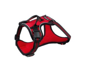 רתמת פרפקט לכלב פטסלנד