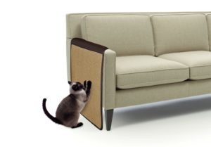 שטיח גירוד לצד הספה - קמון