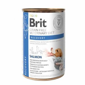 בריט מזון רפואי רטוב ריקברי לכלבים וחתולים למחלימים מהליך רפואי