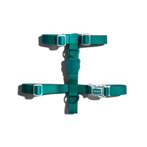 זי.דוג רתמת חזה בציפוי ניאו פרו Zee.Dog H Harness NEOPRO AMAZONIA