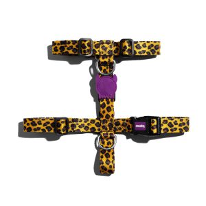 זי.דוג רתמת חזה Zee.Dog H Harness HONEY