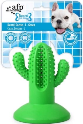 צעצוע דנטלי קקטוס AFP