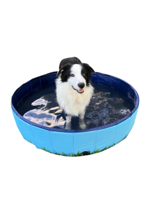 בריכה עמידה במיוחד מגומי לכלבים ב4 מידות שונות