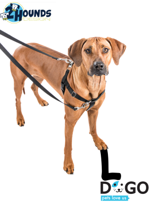 רתמת פרידום נגד משיכות לכלבים Freedom - L (71-81ס"מ)