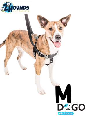 רתמת פרידום  נגד משיכות לכלבים Freedom - M (61-71 ס"מ)