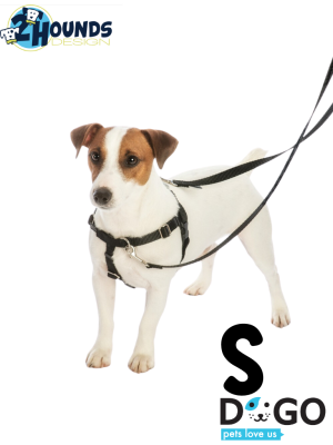 רתמת פרידום נגד משיכות לכלבים  Freedom - S (50-61 ס"מ)