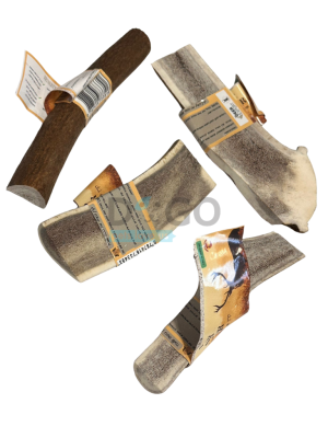 קרן אייל טבעית חצויה - ללעיסה ארוכה