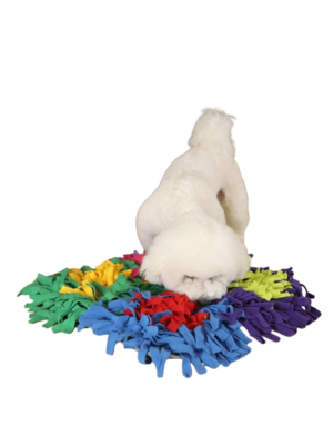 EARTHY PAWZ שטיח הרחה + בובת הרחה צב