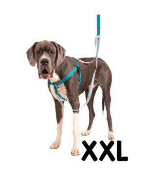 רתמת פרידום נגד משיכות לכלבים Freedom - XXL (91-111 ס"מ)