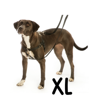 רתמת פרידום נגד משיכות לכלבים Freedom No-Pull- XL (81-91 ס"מ)