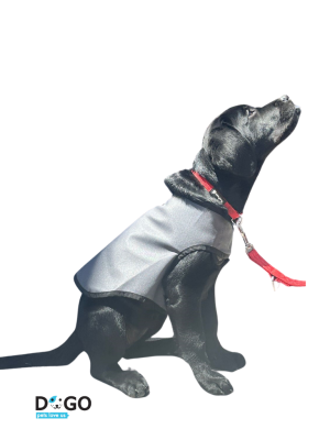 וסט יעודי להדפסה ומיתוג