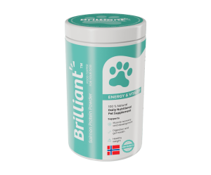 Brilliant אבקת חלבון סלמון תוסף פרוביוטי לכלבים לעיכול ובריאות המעיים - 300 גרם