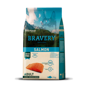 ברייברי - Bravery
