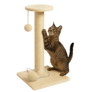 משטחי גירוד