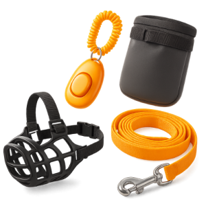 אביזרי אילוף