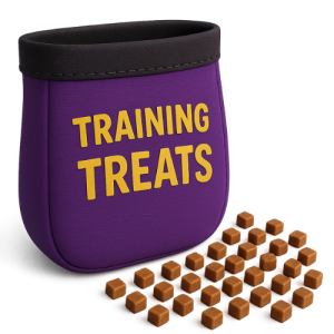 חטיפי אילוף