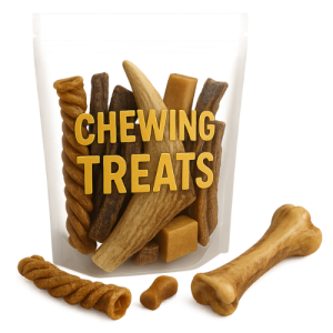 עצמות ותעסוקה